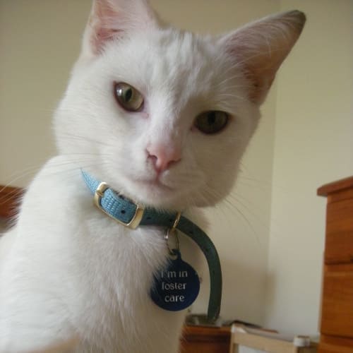 Winter *On Trial in Her New Home!*