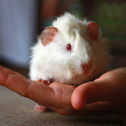 No photo for Lily
