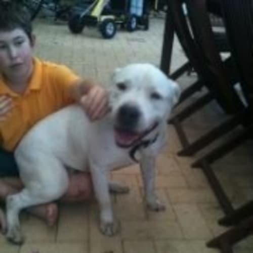 No photo for **On Trial** Zeus