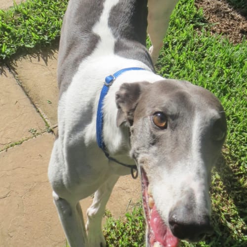 Bruce Willis is checking out his new home