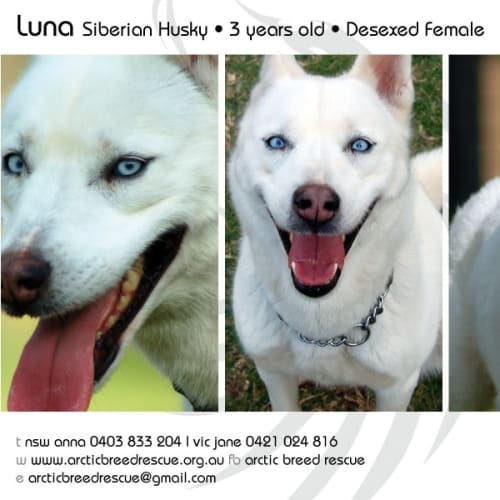 No photo for Luna
