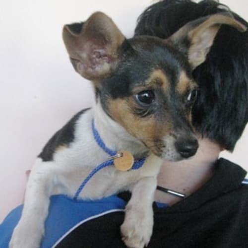No photo for Jj(d1934)*Adopted*