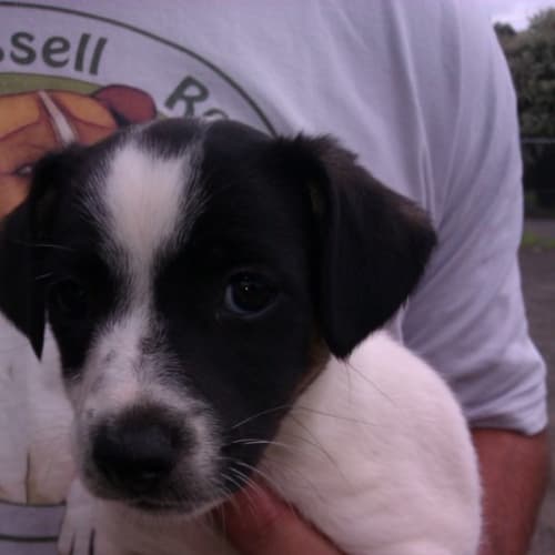 No photo for Harry   On Hold