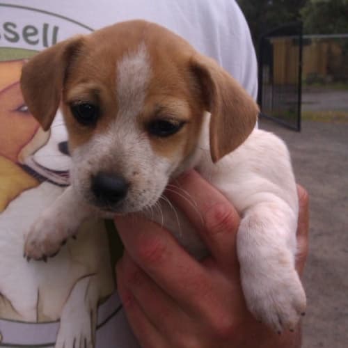 No photo for Heather