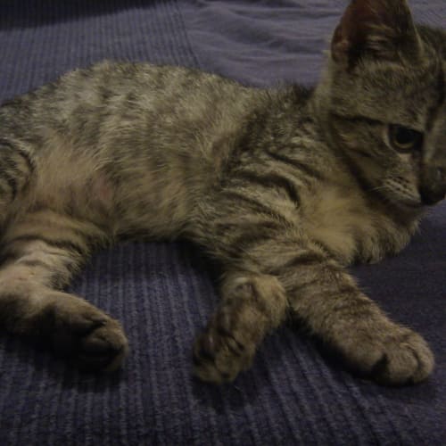 No photo for Chrissy