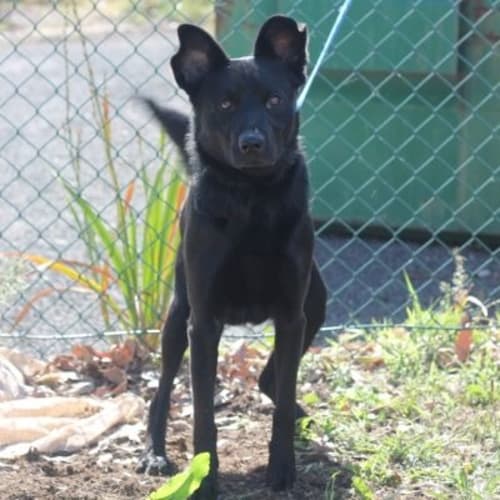 No photo for Russell 456178