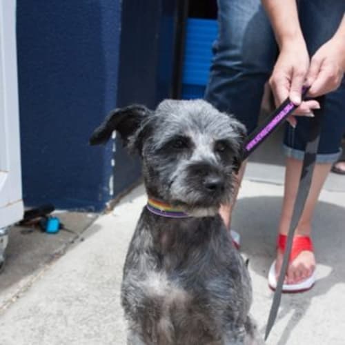 No photo for Matilda