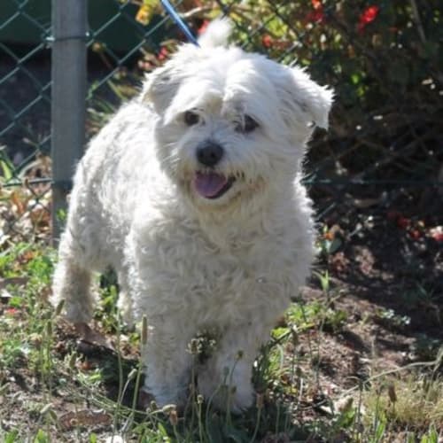 No photo for Mel 456155