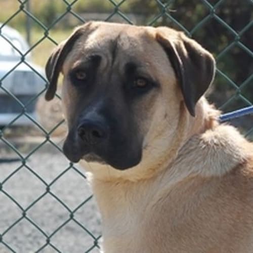 No photo for Naomi 456157