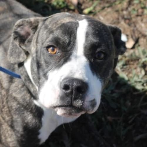 No photo for Rachel 456161