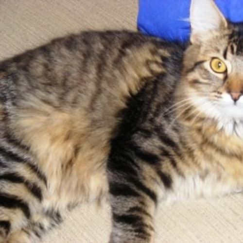 No photo for Jasmine