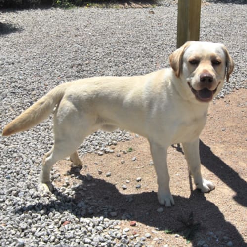 No photo for Rocky 720073