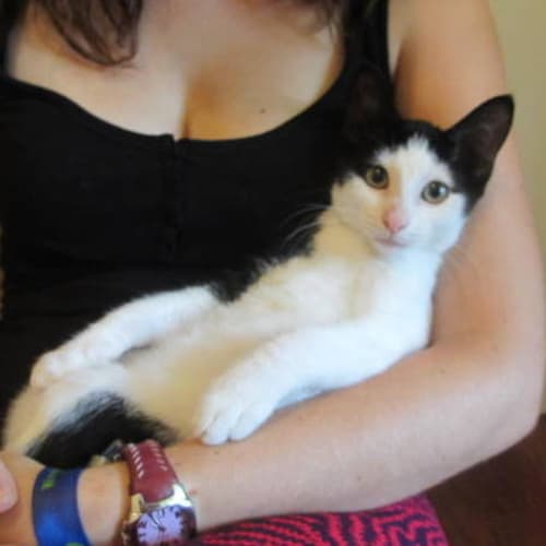 No photo for Sheldon