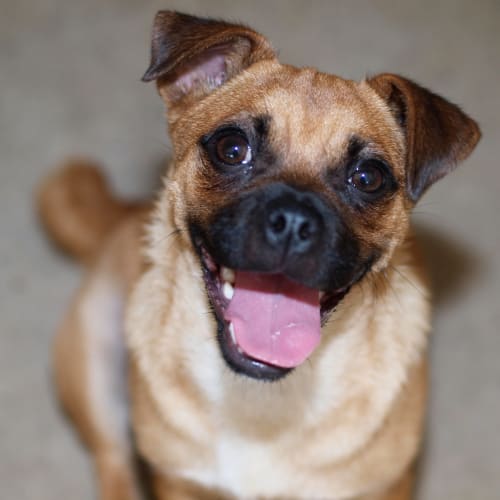 No photo for Jessie   I'm On Trial In My New Home