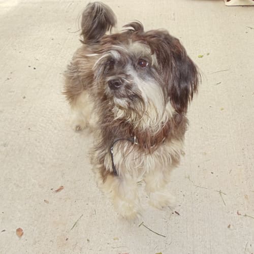 No photo for Minstral