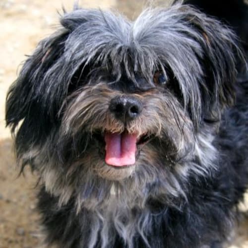 No photo for Harvey 722222