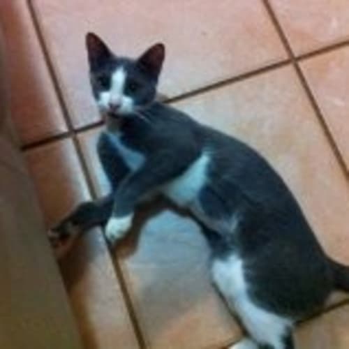 No photo for Rose (On Left)