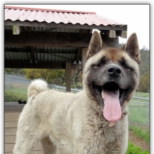 No photo for Kandy Kane