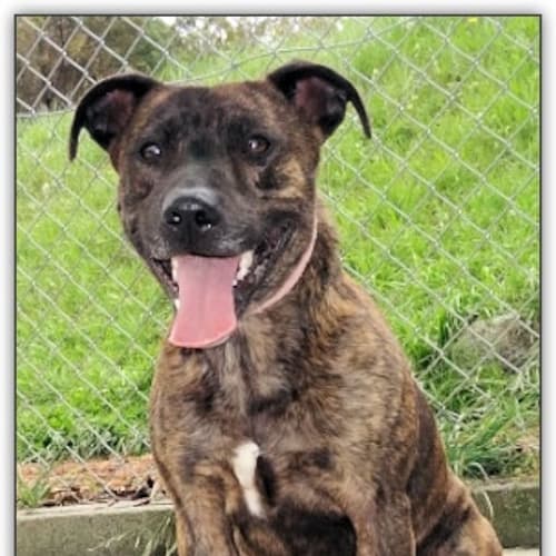 No photo for Nigella