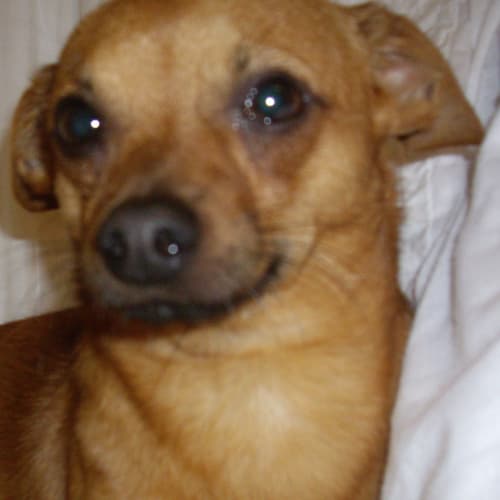 No photo for Charley