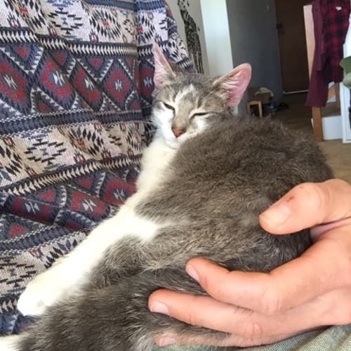Leo