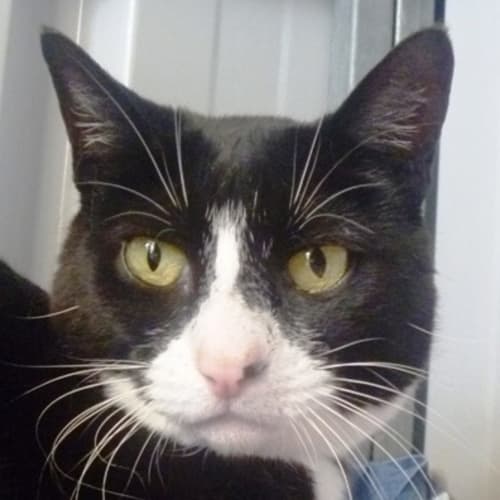 No photo for Penny 713251