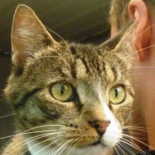 No photo for Pauli 720595