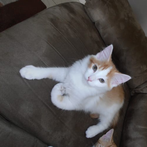 No photo for Leonard