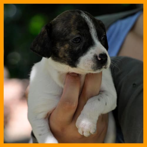 No photo for Missy   Im On Trial 20/02/12