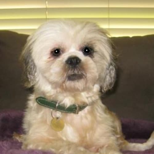 No photo for Arabella