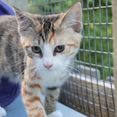 No photo for Juanita