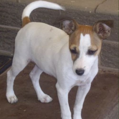 No photo for Kimberley Adopted