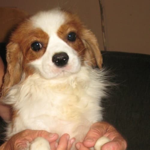 No photo for Malakai