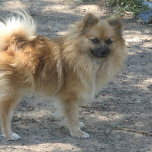 No photo for Princess