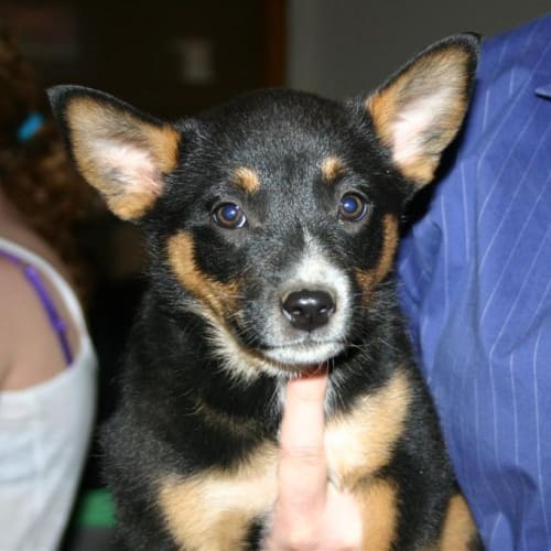 No photo for Sedona Rayne