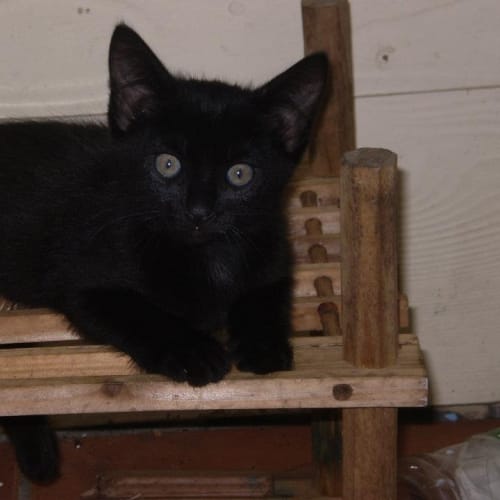 No photo for Sabrina "On Trial With Her New Family"