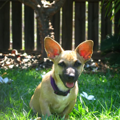 No photo for Sophie (Nee Pinky)