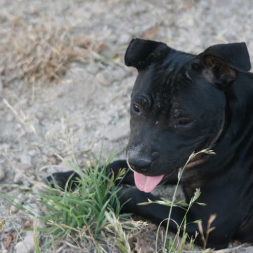 No photo for Brianna