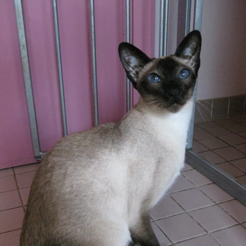 No photo for Memphis