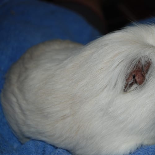 No photo for Sebastian