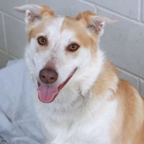 No photo for Charlie