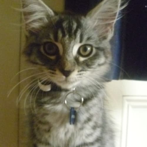 No photo for Princess