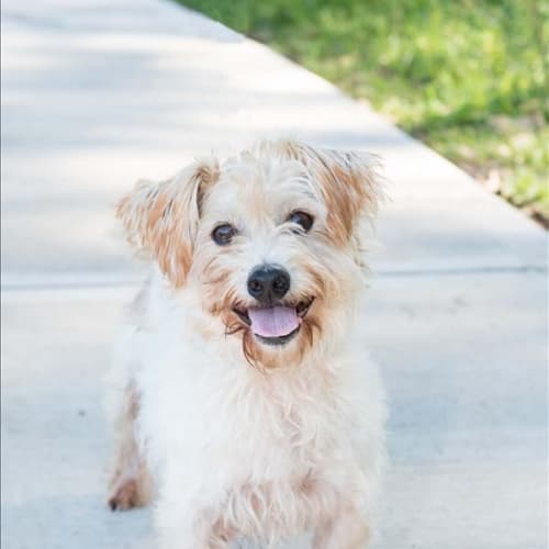 Benny