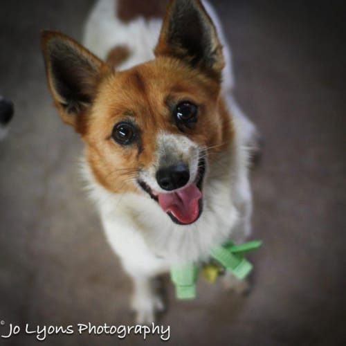 Maggie!