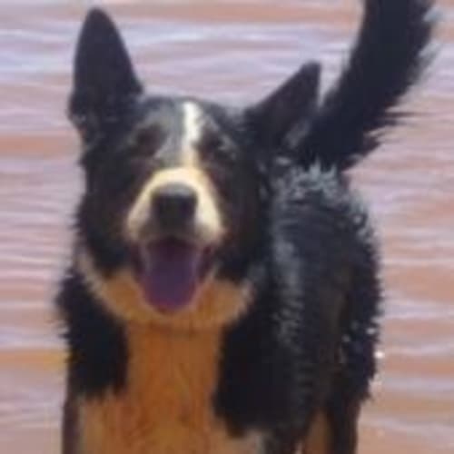 No photo for Max Nd010 