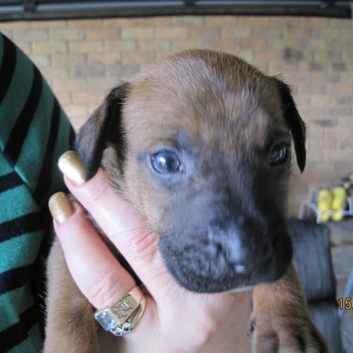 No photo for Russell