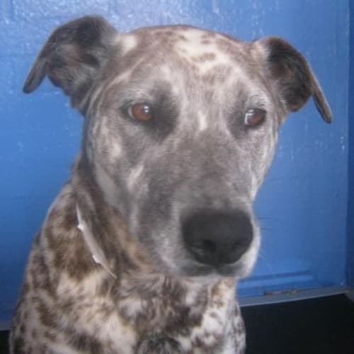 No photo for Ciara 719551