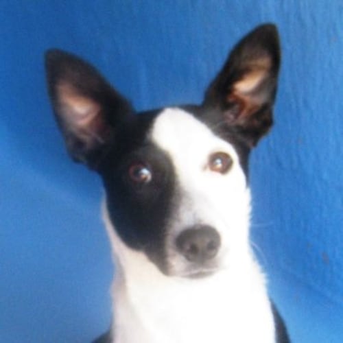 No photo for Mikey 721531