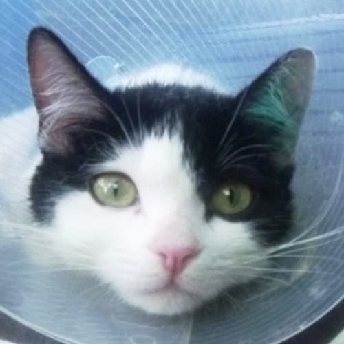 No photo for Betty 719729