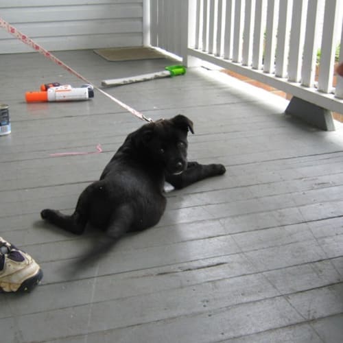 No photo for Kitaria